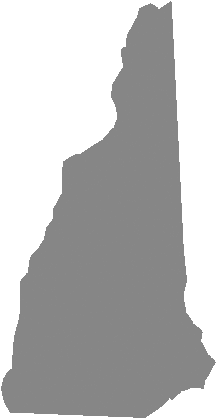 03101 ZIP Code in New Hampshire