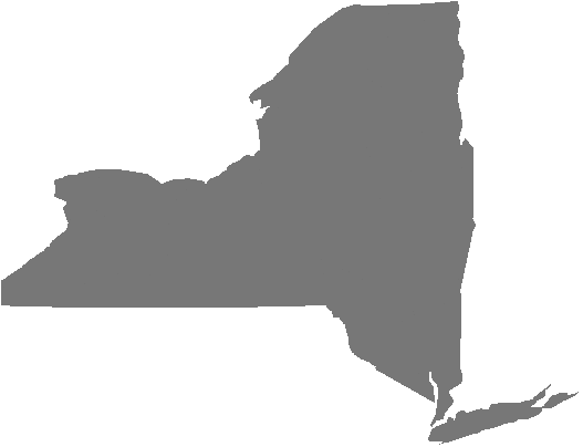 13214 ZIP Code in New York